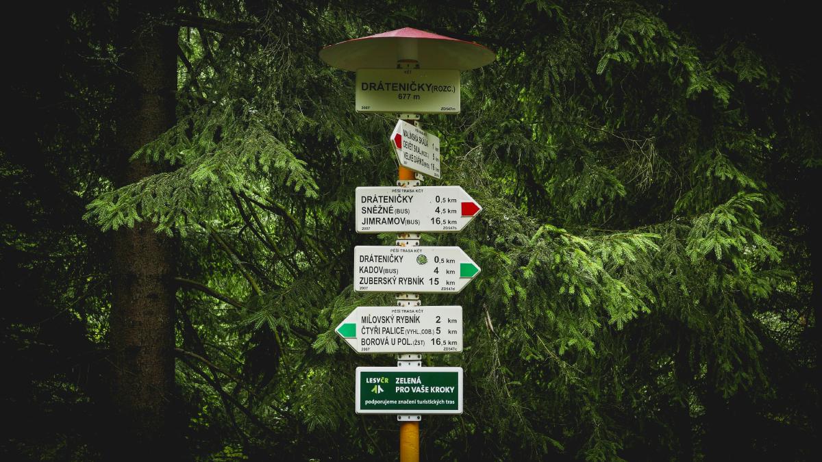 Imagen del artículo ¿Está la IA en todas partes? Realidad, utilidad y exceso de entusiasmo